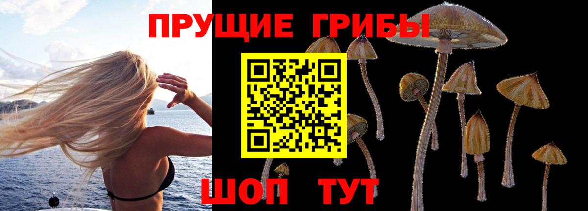 Галлюциногенные грибы мухоморы Нижний Новгород